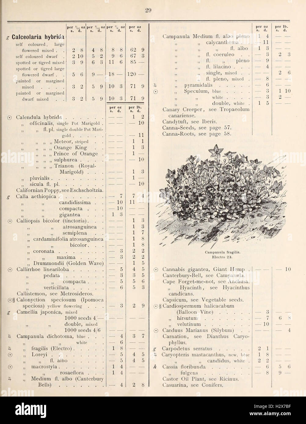 Diese Preisliste aus einem historischen Katalog bietet detaillierte Auflistungen verschiedener Samen und Pflanzen, die zum Kauf angeboten werden, einschließlich Gemüse, Bäumen, Blumen und Obstbäumen. Sie bietet Einblicke in landwirtschaftliche Trends und Pflanzensorten der damaligen Zeit. Stockfoto