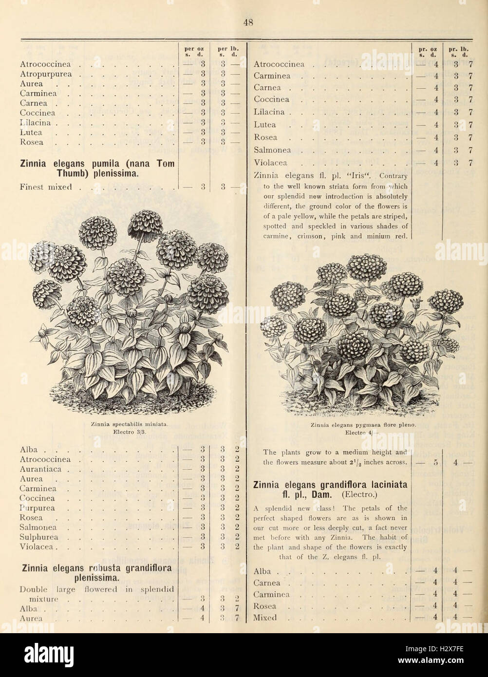 Eine Preisliste mit detaillierten Informationen zu verschiedenen Saatgut, einschließlich Gemüse, Blumen, Bäumen und Neuheiten, mit Schwerpunkt auf Bauernhof- und Gartenbauartikeln zum Verkauf. Stockfoto