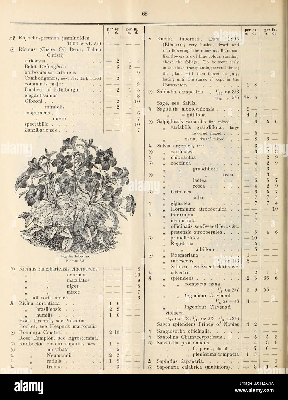 Diese Preisliste aus einem Saatgutkatalog aus dem 19. Jahrhundert enthält eine Vielzahl von Pflanzensamen für Gemüse, Bäume, Palmen und Zierpflanzen, die einen Einblick in landwirtschaftliche Trends und Gartenbaupraktiken der damaligen Zeit bieten. Stockfoto