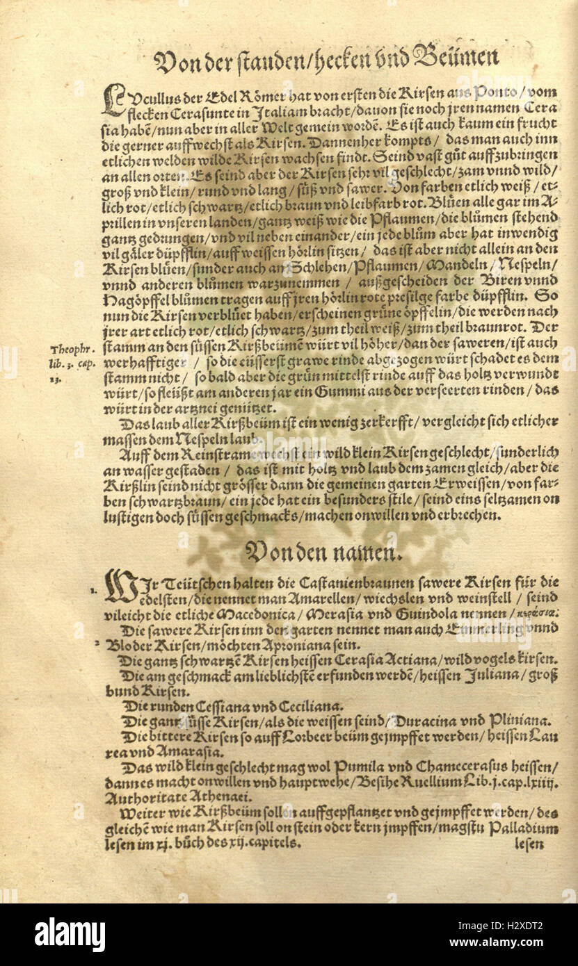 Kreüter Buch, darin Underscheid, Würckung Und Namen der Kreüter so in Deutschen Landen Wachsen (s. (52), Seite 765) BHL81 Stockfoto