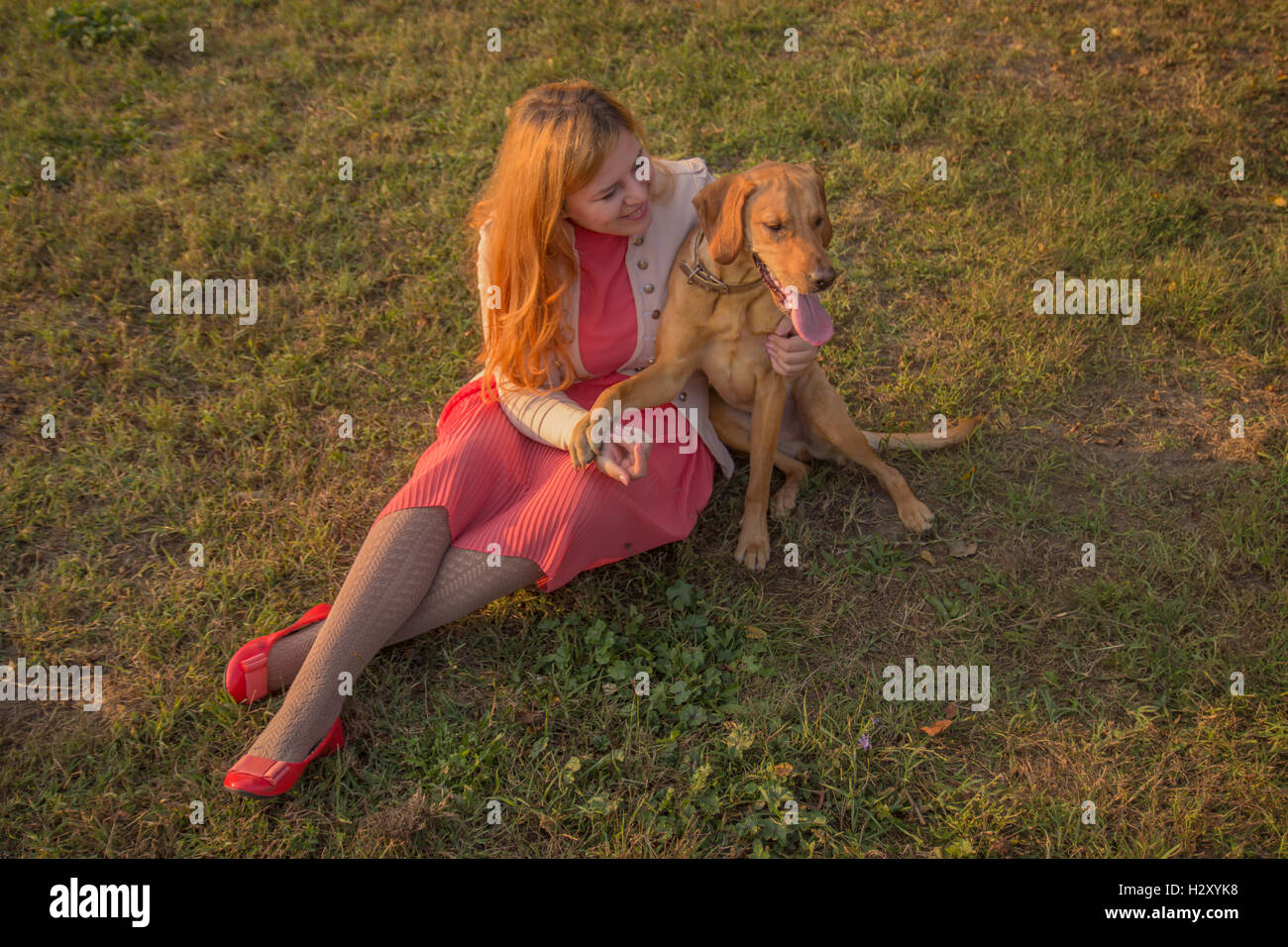 Junge süße übergewichtige Frau sitzen im Rasen Hund erhöhte Sicht, sonnigen Tag. Stockfoto