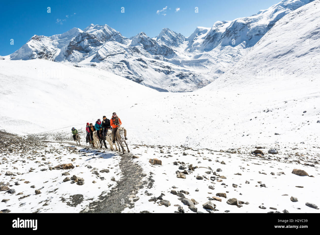 Thorong La, Nepal - 16 Oktober: Touristen Reitpferde zu hoher Gebirgspass pass auf 5416 m, am Oktober 2016 im Annapurna Region Zuhause. Stockfoto