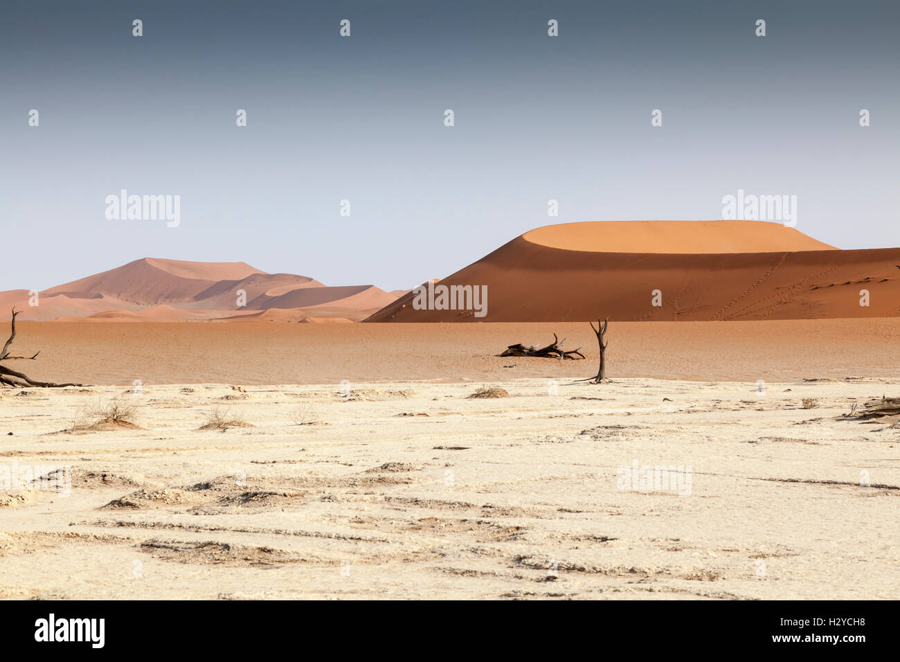 Deadvlei, Sossusvlei, Namib-Naukluft-Nationalpark, Namibia Stockfoto