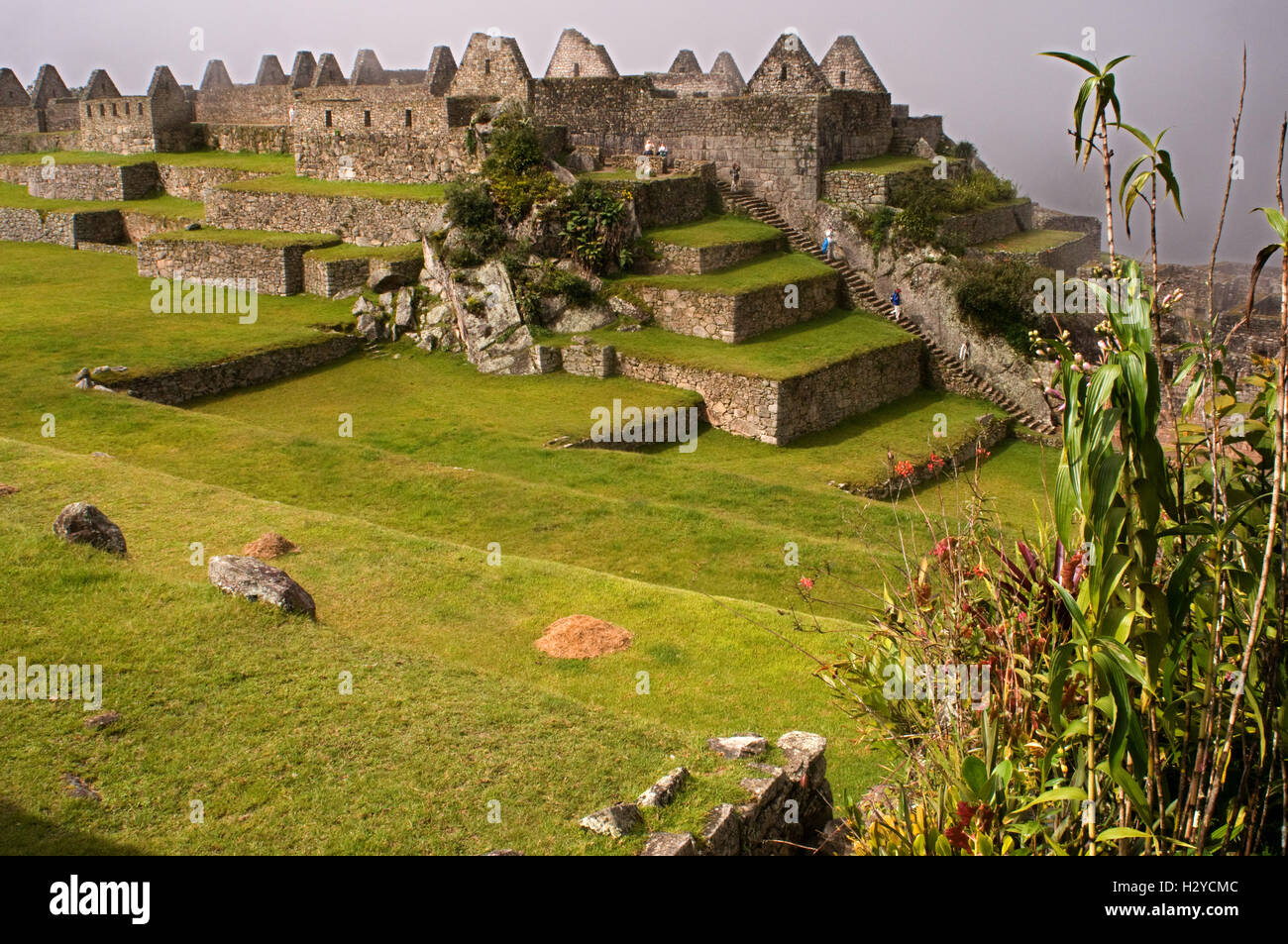 Im Inneren der archäologische Komplex von Machu Picchu. Machu Picchu ist eine Stadt, die hoch in den Anden in modernen Peru. Es Stockfoto