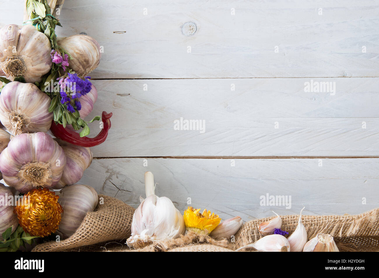 Komposition aus frischem Knoblauch, getrocknete Kräuter und Blumen.  Foto enthält ein Exemplar Stockfoto