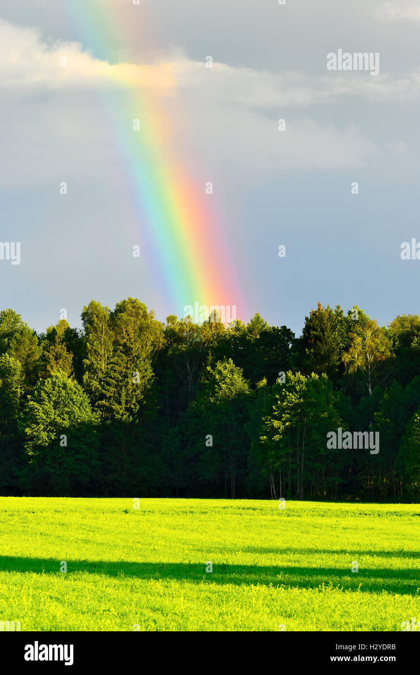 Ländlichen Landschaft mit schönen Regenbogen über den Wald. Woznawies, Provinz Podlaskie, Nordost-Polen. Stockfoto