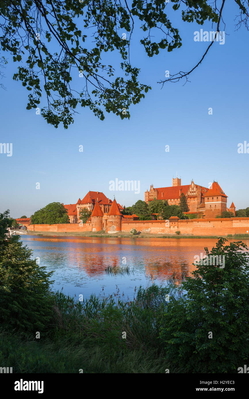 Marienburg in Polen, Blick über Fluss Nogat, mittelalterliche Festung, historisches Wahrzeichen Stockfoto