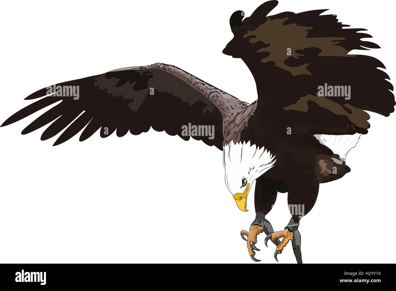Golden Eagle Stockfoto