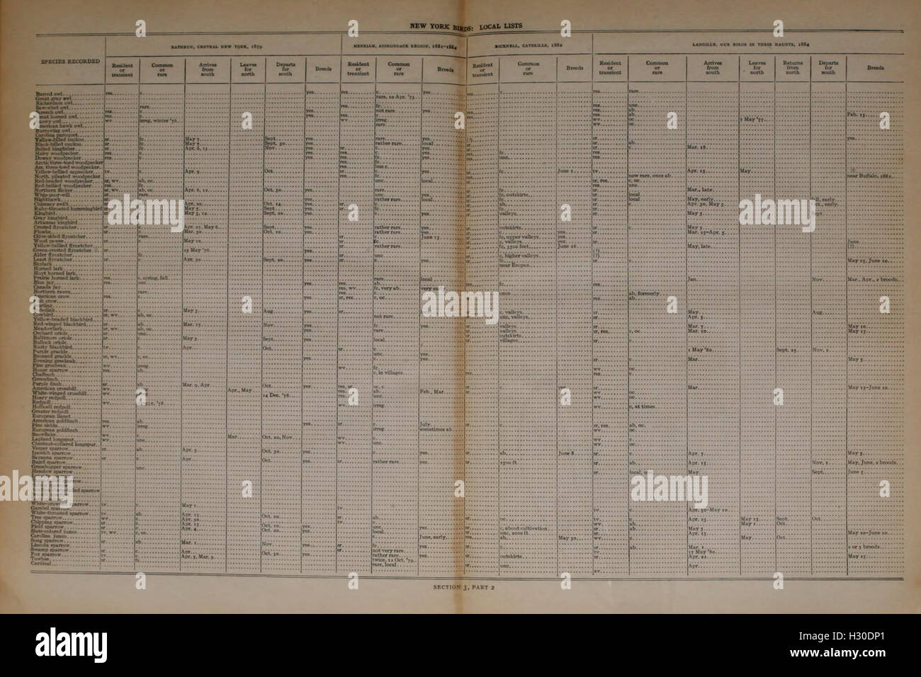 Ein Katalog von Vogelarten in New York mit einer Tabelle, in der