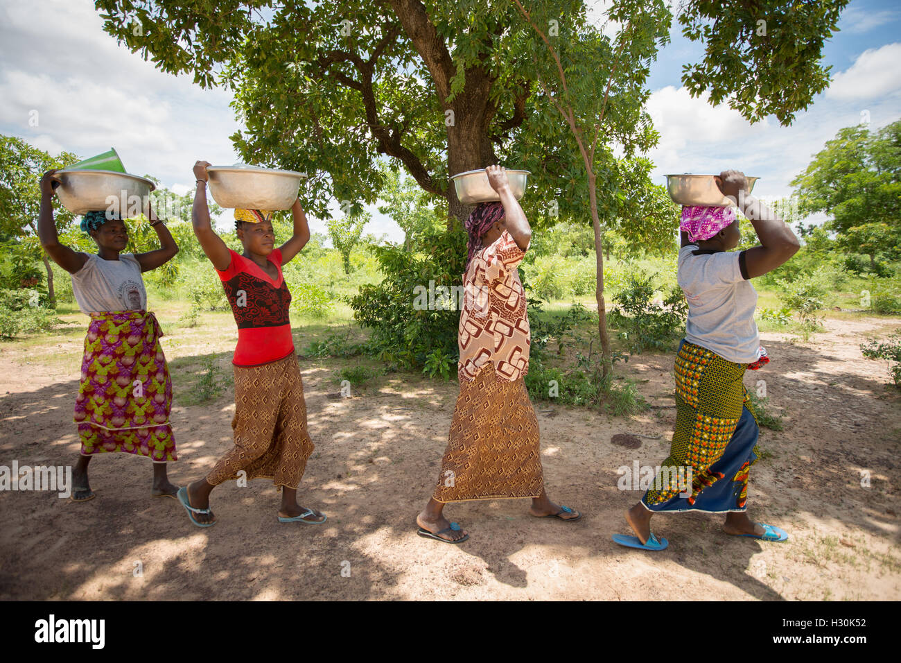 Frauen sammeln gefallener Shea Frucht, die Mutter aus dem zur Herstellung von Shea-Butter und Öl, in Burkina Faso Afrika verwendet wird. Stockfoto