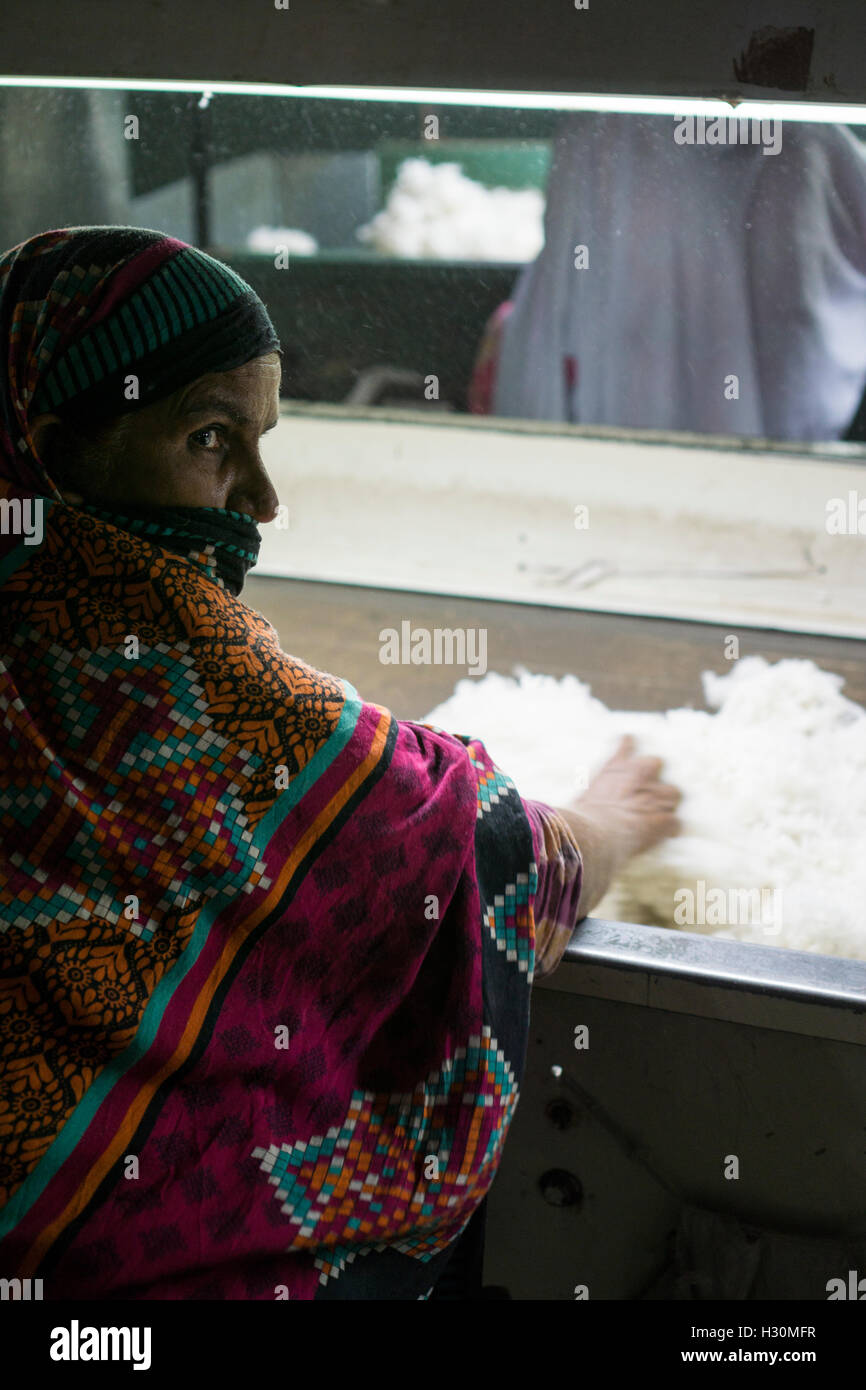 Weibliche Baumwolle Mühle Arbeiter arbeiten Multan Pakistan Stockfoto