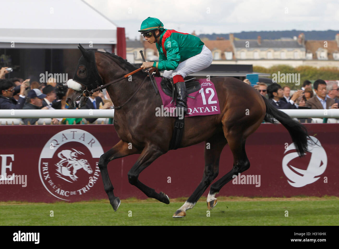 Chantilly Racecourse, Frankreich. 1. Oktober 2016. Prix de l Arc de Triomphe, race 4 auf Karte. Vedevani - Alexis Badel © Aktion Plus Sport/Alamy Live News Stockfoto