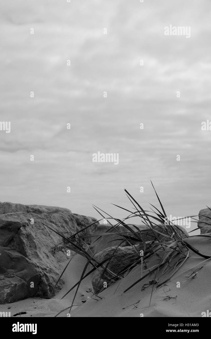 Sanddünen am Hengitsbury Strand, Dorset Stockfoto