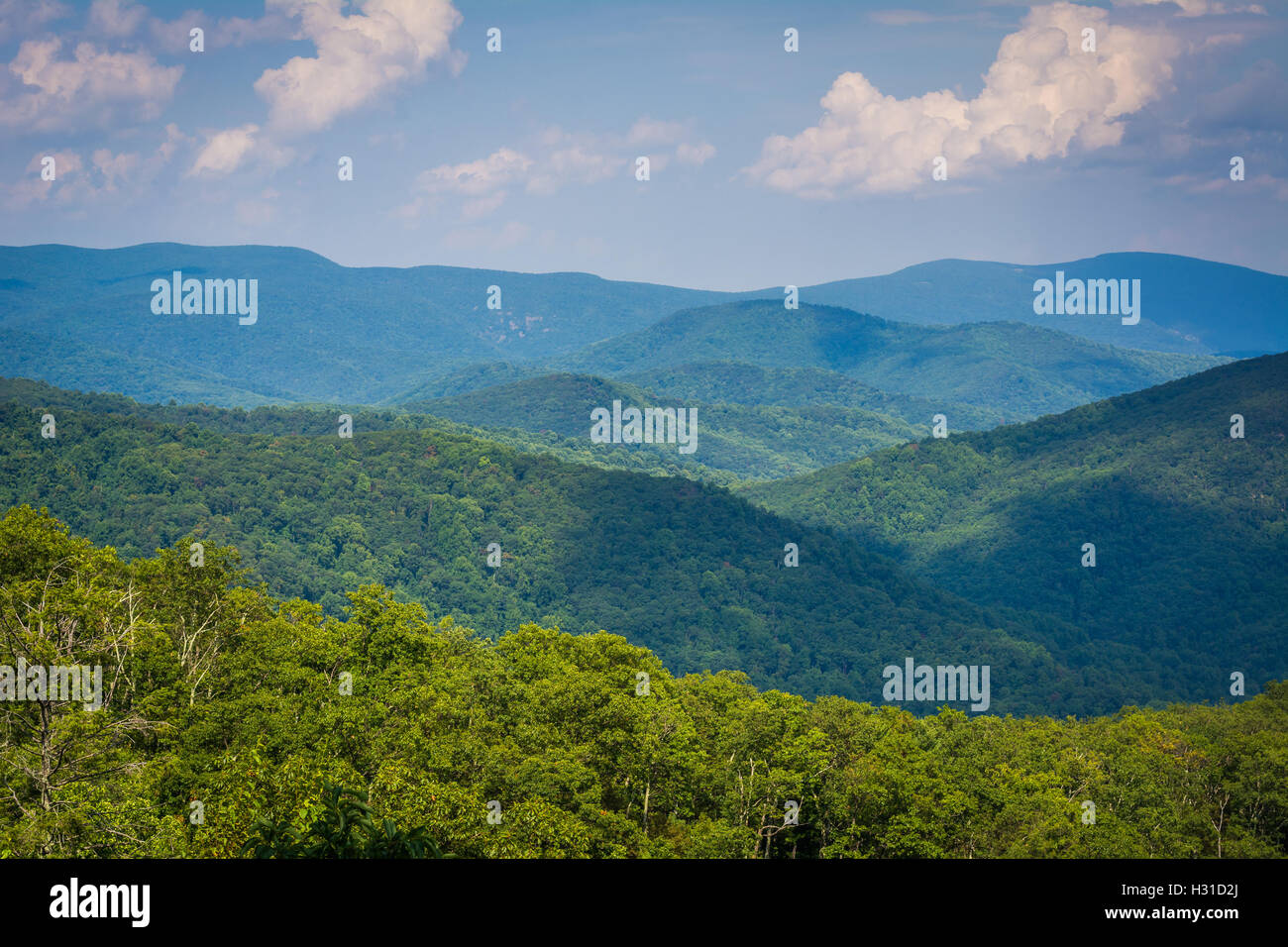 Schichten von der Blue-Ridge, gesehen vom Skyline Drive im Shenandoah-Nationalpark, Virginia. Stockfoto
