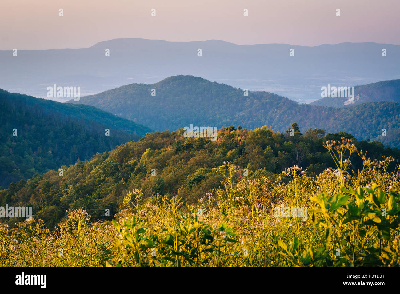 Schichten von den Blue Ridge Mountains bei Sonnenuntergang vom Skyline Drive im Shenandoah-Nationalpark, Virginia zu sehen. Stockfoto