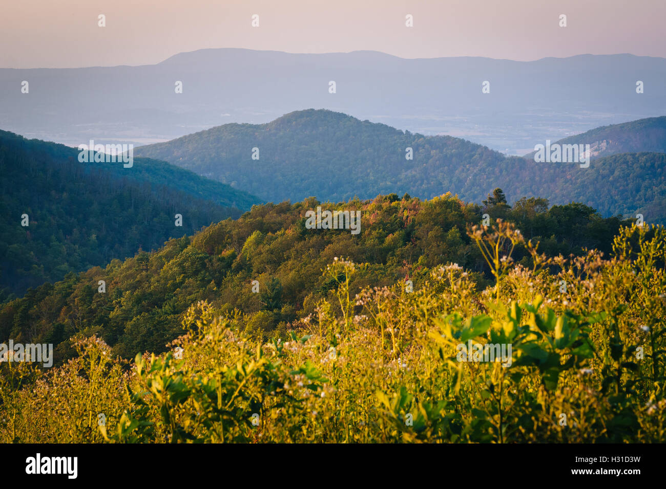 Schichten von den Blue Ridge Mountains bei Sonnenuntergang vom Skyline Drive im Shenandoah-Nationalpark, Virginia zu sehen. Stockfoto