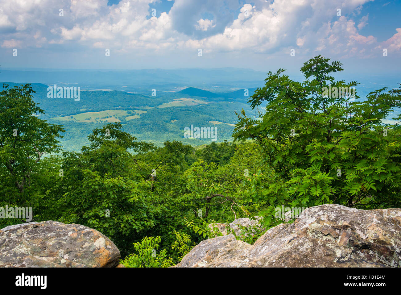 Blick vom südlichen Marshall auf dem Appalachian Trail im Shenandoah-Nationalpark, Virginia. Stockfoto