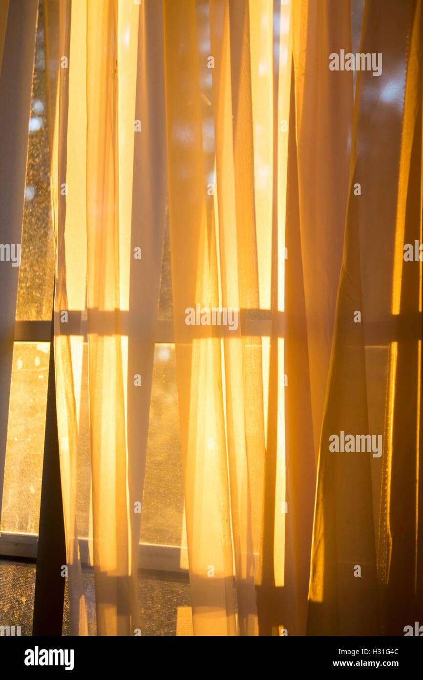 Gardinen im Fenster bei Sonnenuntergang Stockfoto