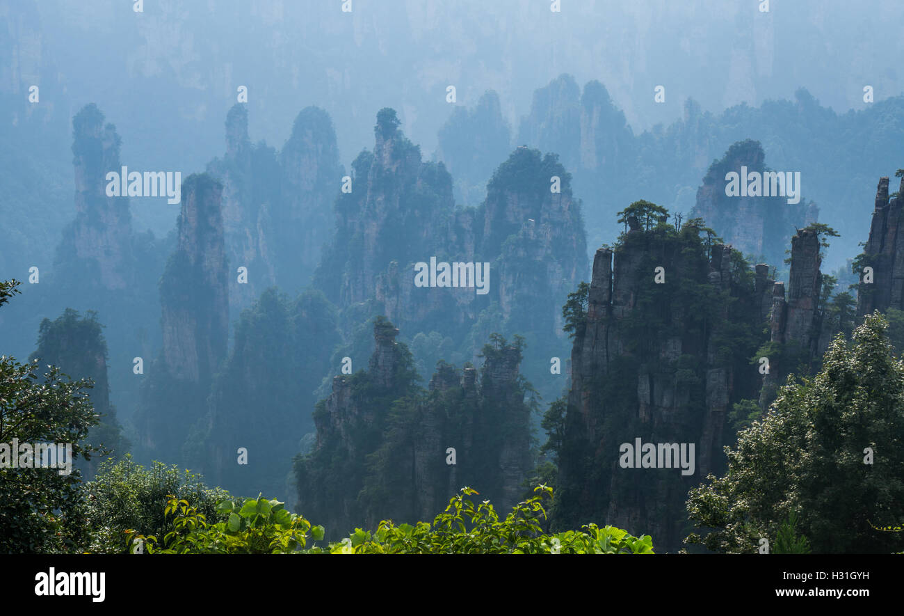Nebel in den Bergen von Zhangjiajie Stockfoto