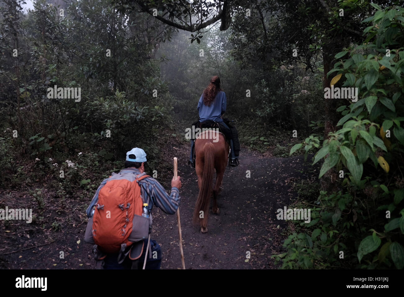 Eine weibliche Wanderer montiert auf einem Pferd auf ihrem Weg zum Pacaya einen komplexeren Vulkan im Departamento Escuintla. Guatemala. Stockfoto