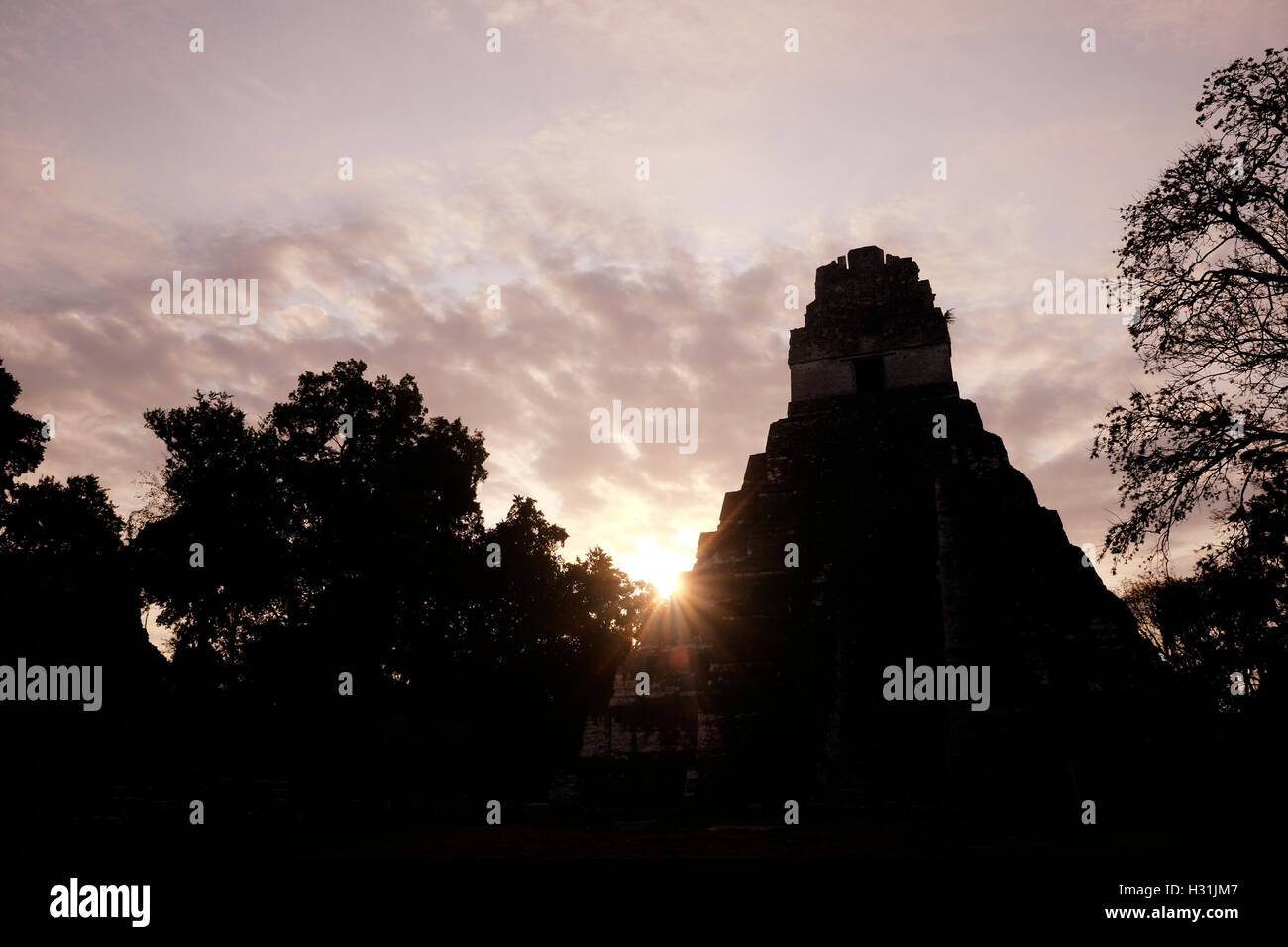 Blick auf die alten Maya trat Pyramide Tempel number1 auch bekannt als der große Jaguar im Jahr 700 n. Chr. im Gran Plaza an der archäologischen Stätte von Tikal ein altes urbanes Zentrum der präkolumbischen Maya-Zivilisation befindet sich im archäologischen Bereich des Beckens im Norden Guatemalas Petén gebaut Stockfoto