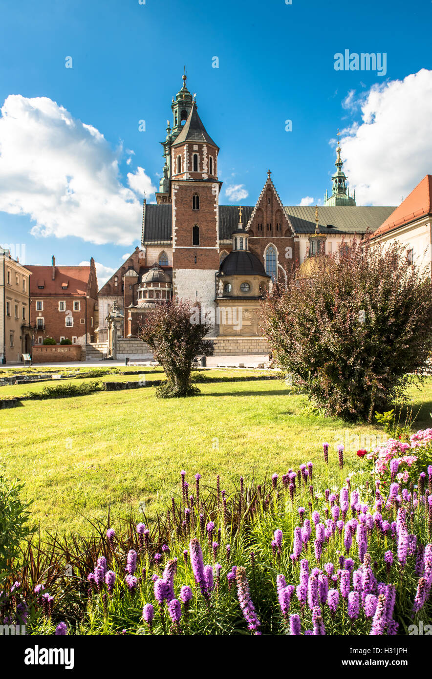 Sommer Wawel Kathedrale auf dem Wawel-Hügel in Krakau, Polen Stockfoto