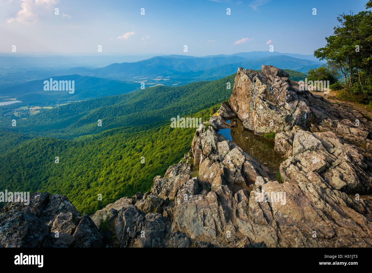 Wasser Pfütze auf kleinen steinigen Mann Klippen und Blick auf den Blue Ridge Mountains im Shenandoah-Nationalpark, Virginia. Stockfoto