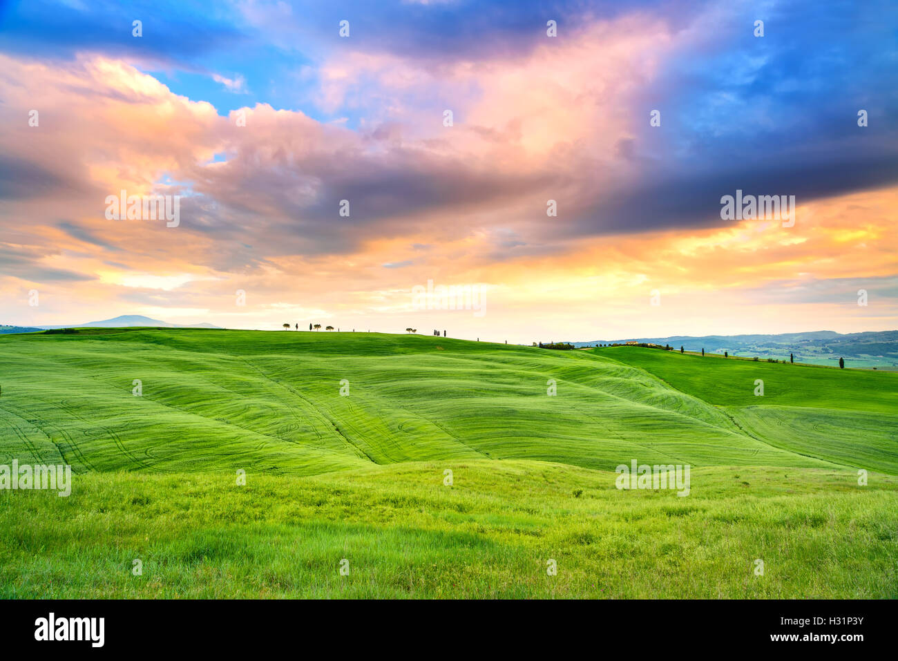 Tuscany Sonnenuntergang Landschaft, Zypressen und grünen Feldern. San Quirico Orcia, Italien, Europa. Stockfoto