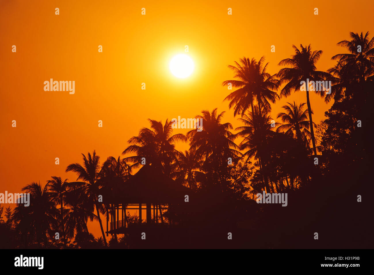 Sonnenuntergang am tropischen Strand mit Palmen Bäume Silhouetten Stockfoto