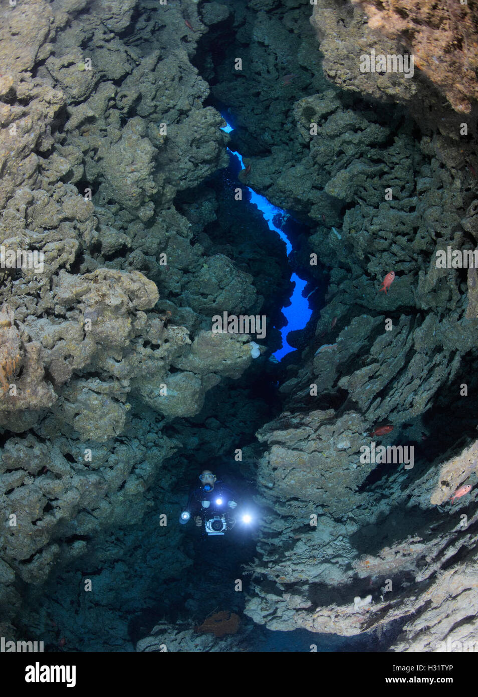QZ1003-D. Scuba Diver (Modell freigegeben) mit Unterwasser-Kamera erkunden Passage durch das Riff an einem Tauchplatz namens "Admir Stockfoto