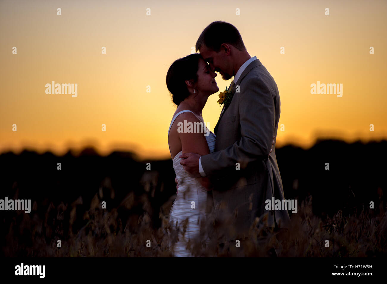Partielle Silhouette von Mike und Alison Amoss in einem Soja-Bohne-Feld am Tag ihrer Hochzeit. Stockfoto