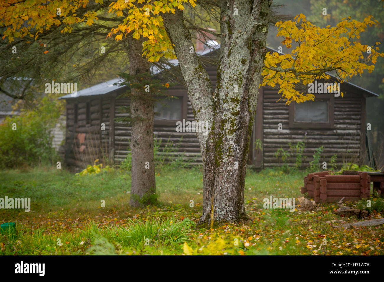 Scheune auf einem Bauernhof in Harrison, Maine im Herbst Stockfoto