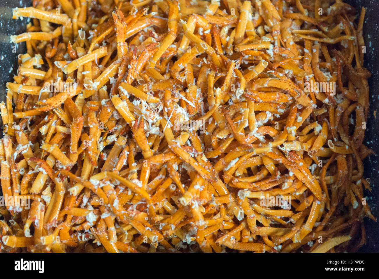 Haufen von Hummer Beine in Saco, Maine. Stockfoto