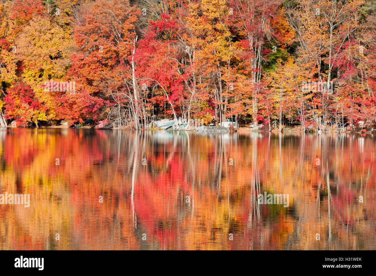 Spektakuläre Farben des Herbstes spiegelt sich in einem See im Hudson Valley New York. Stockfoto