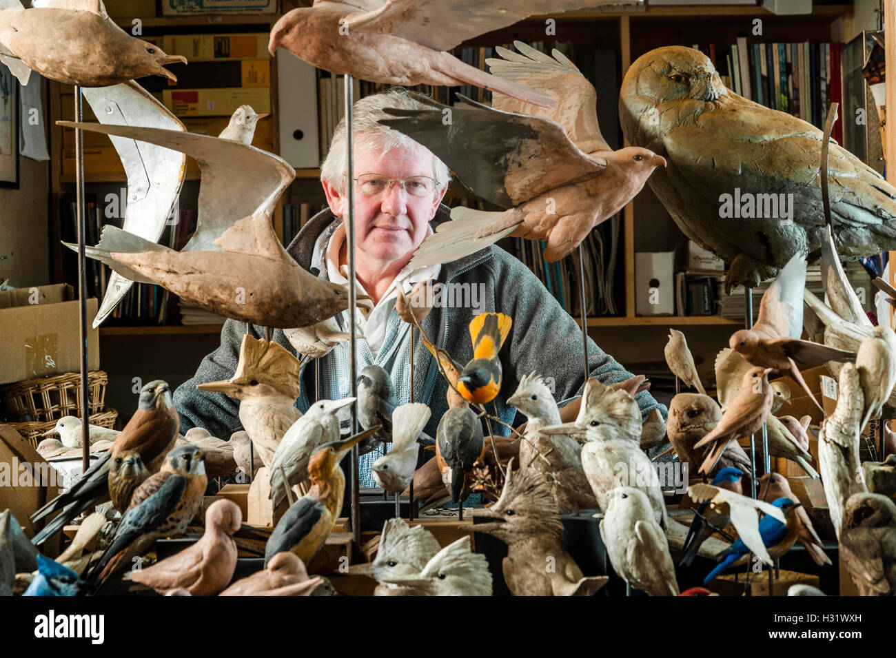 Ein Mann und seine hölzernen Vogel Schnitzereien in seinem Atelier in Pennsylvania. Stockfoto