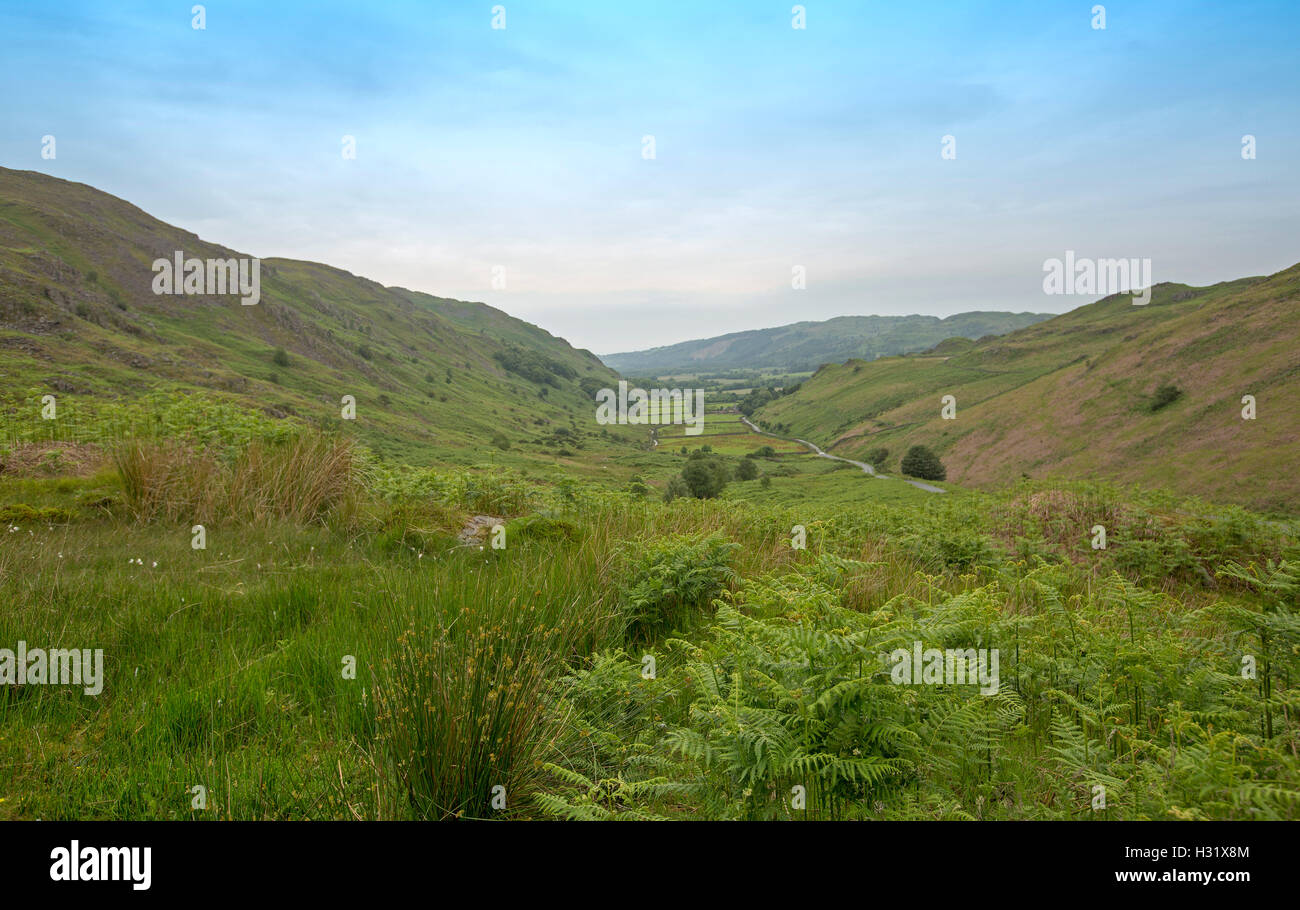 Landschaft der Smaragd baumlosen grasbewachsenen Hügel säumen tiefes Tal mit engen Serpentinen zum Hard-Knott-Pass in Ferne, Lake District, Cumbria, England Stockfoto