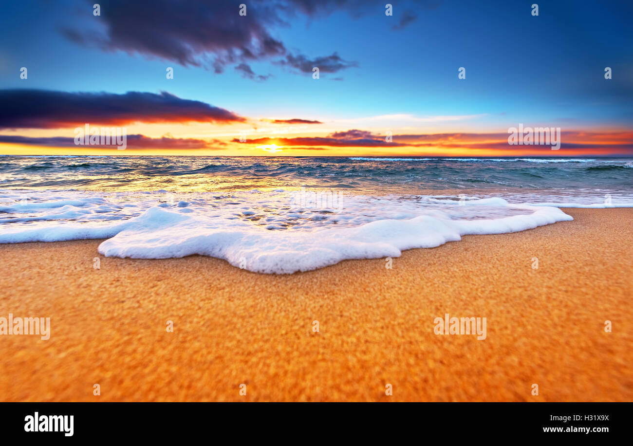 Schönen tropischen Sonnenaufgang am Strand. Stockfoto