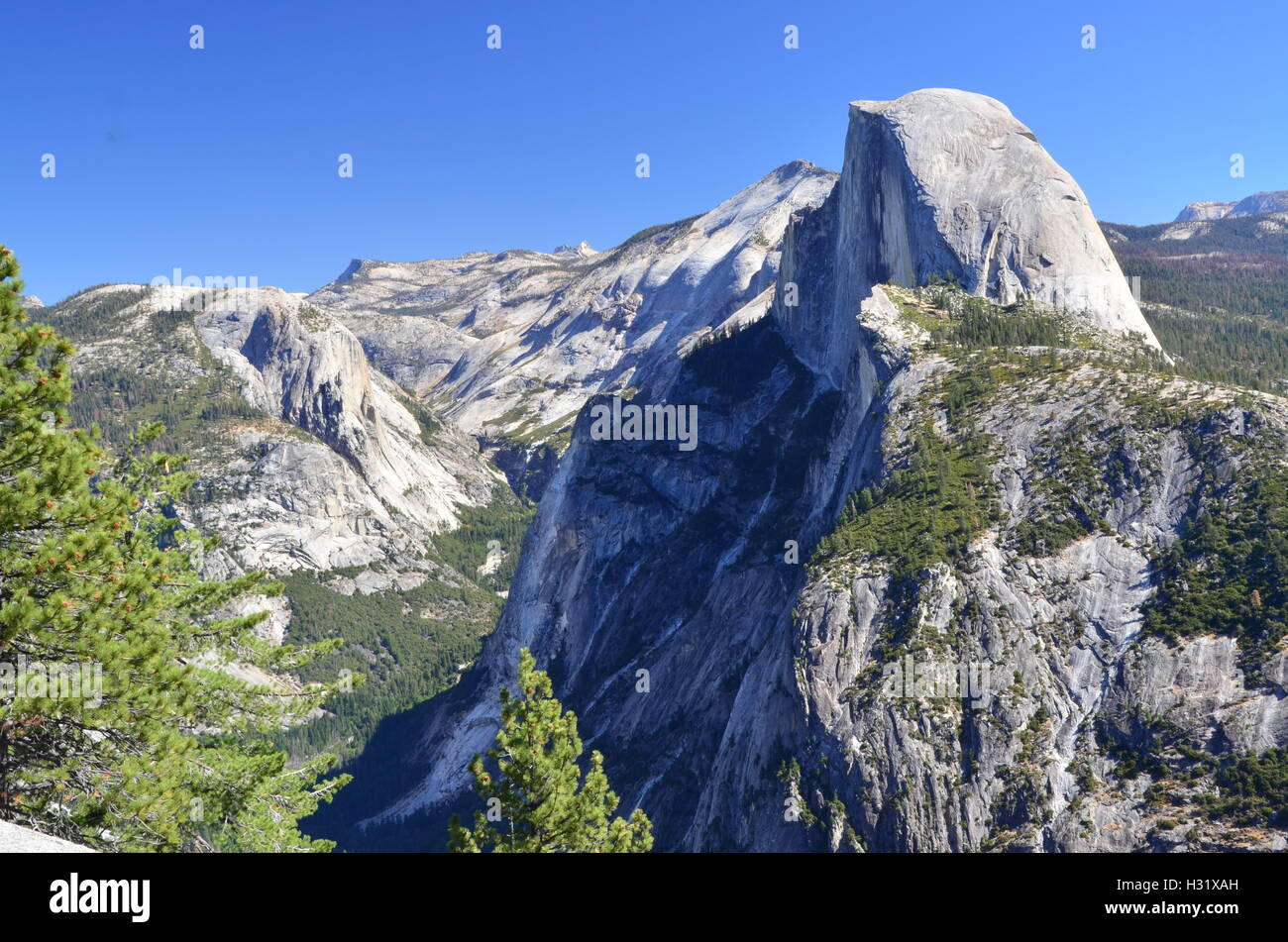 Half Dome im Yosemite-Nationalpark Stockfoto