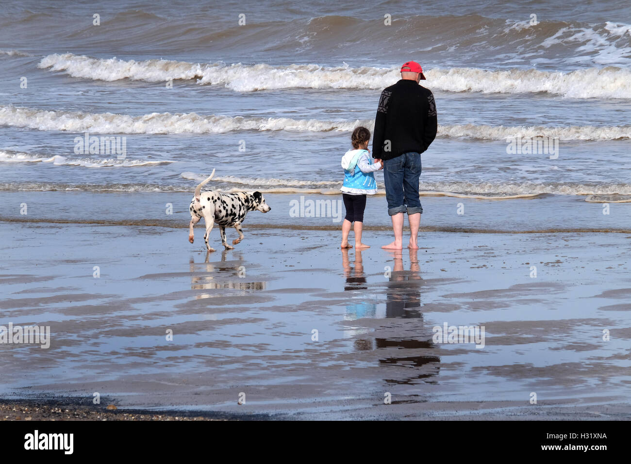 Mann und Kind mit Hund im Meer paddeln. Stockfoto