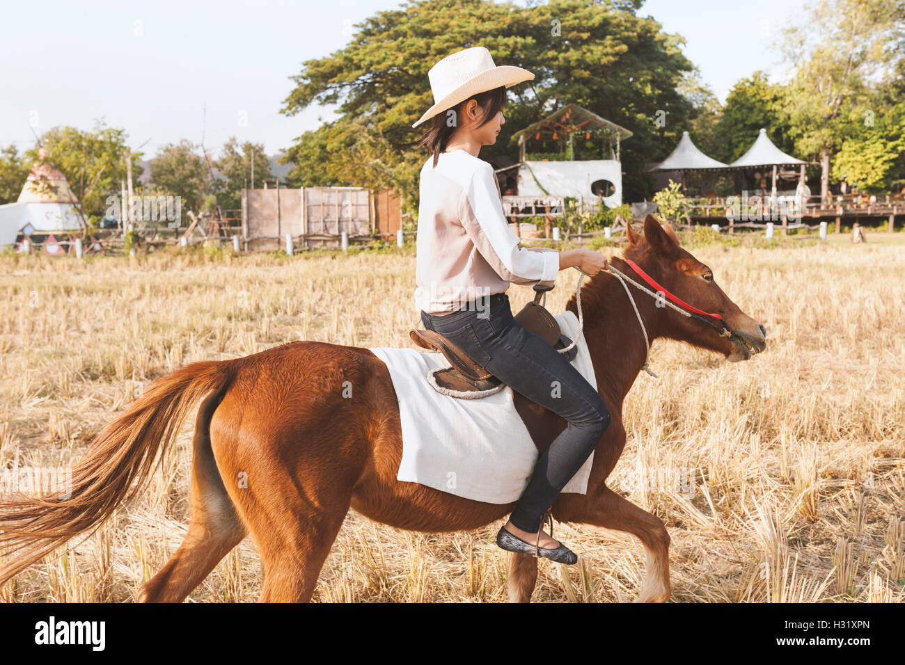 Schöne junge Frau lächelt Reiten ein Pferd auf dem Feld und entspannen Sie sich Zeit. Seitlich an der Kamera. Freiheit, Freude, Bewegung Stockfoto