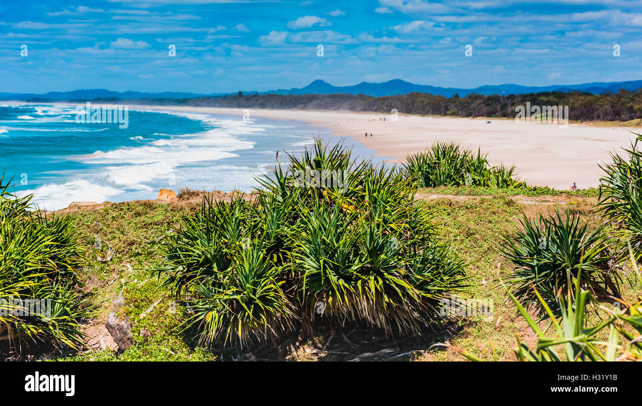 Malerische Aussicht auf Strand, Casuarina Küste, New South Wales, Australien Stockfoto