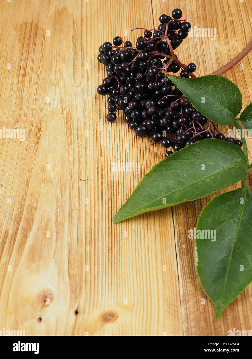 Download Vorschau Sambucus Nigra - Holunder auf dem hölzernen Hintergrund speichern Stockfoto