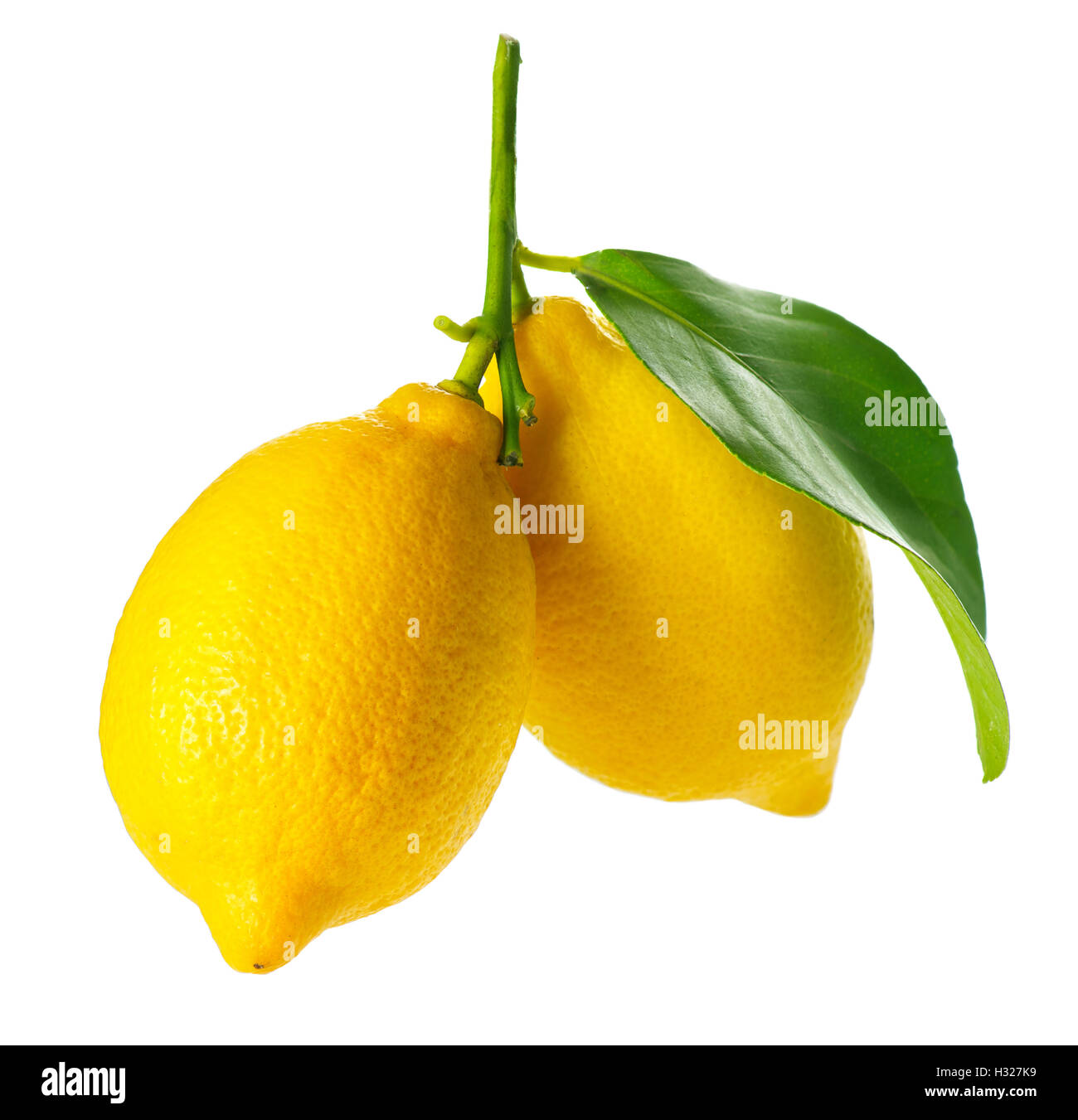 Zitrone, isoliert auf weiss. Frische und reife Zitronen Stockfoto