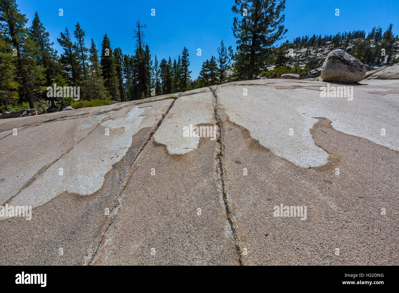 Natürliches Design erstellt durch Erosion in Granit in Olmsted Point, Yosemite-Nationalpark, Kalifornien, USA Stockfoto