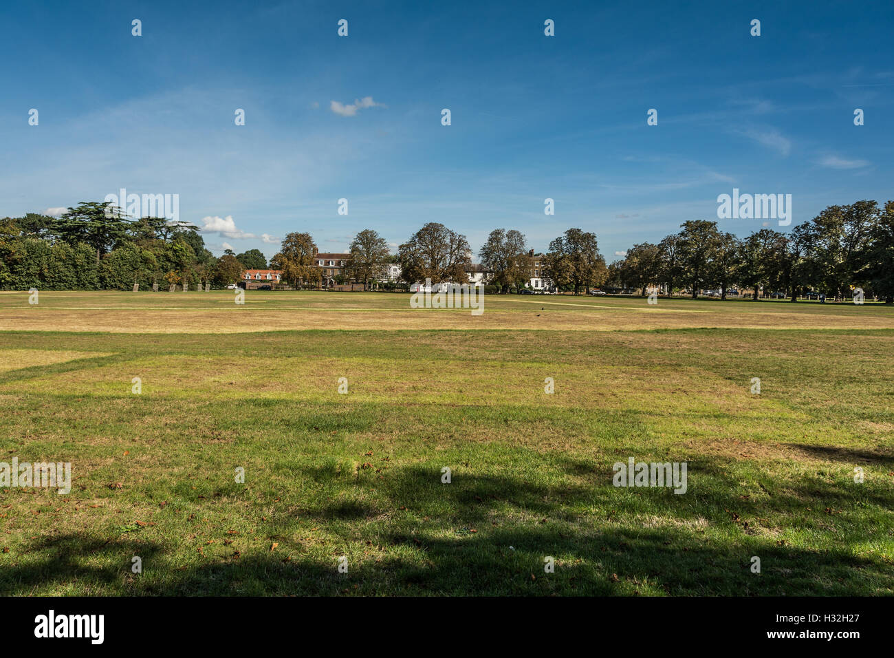 Der Themse in East Molesey in der Nähe von Hampton Court Palace in Surrey, Großbritannien Stockfoto