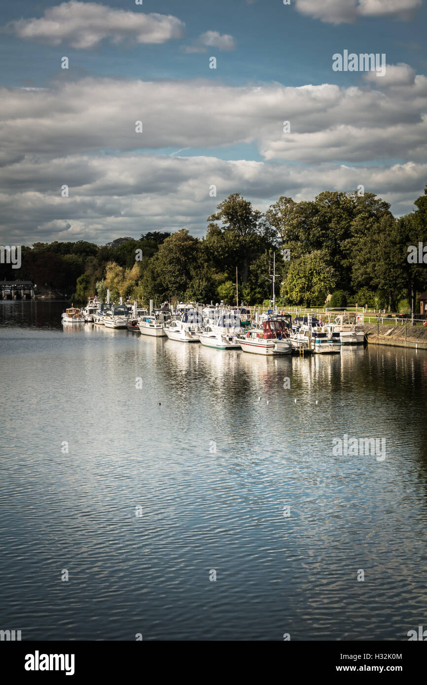 Der Themse in East Molesey in der Nähe von Hampton Court Palace in Surrey, Großbritannien Stockfoto