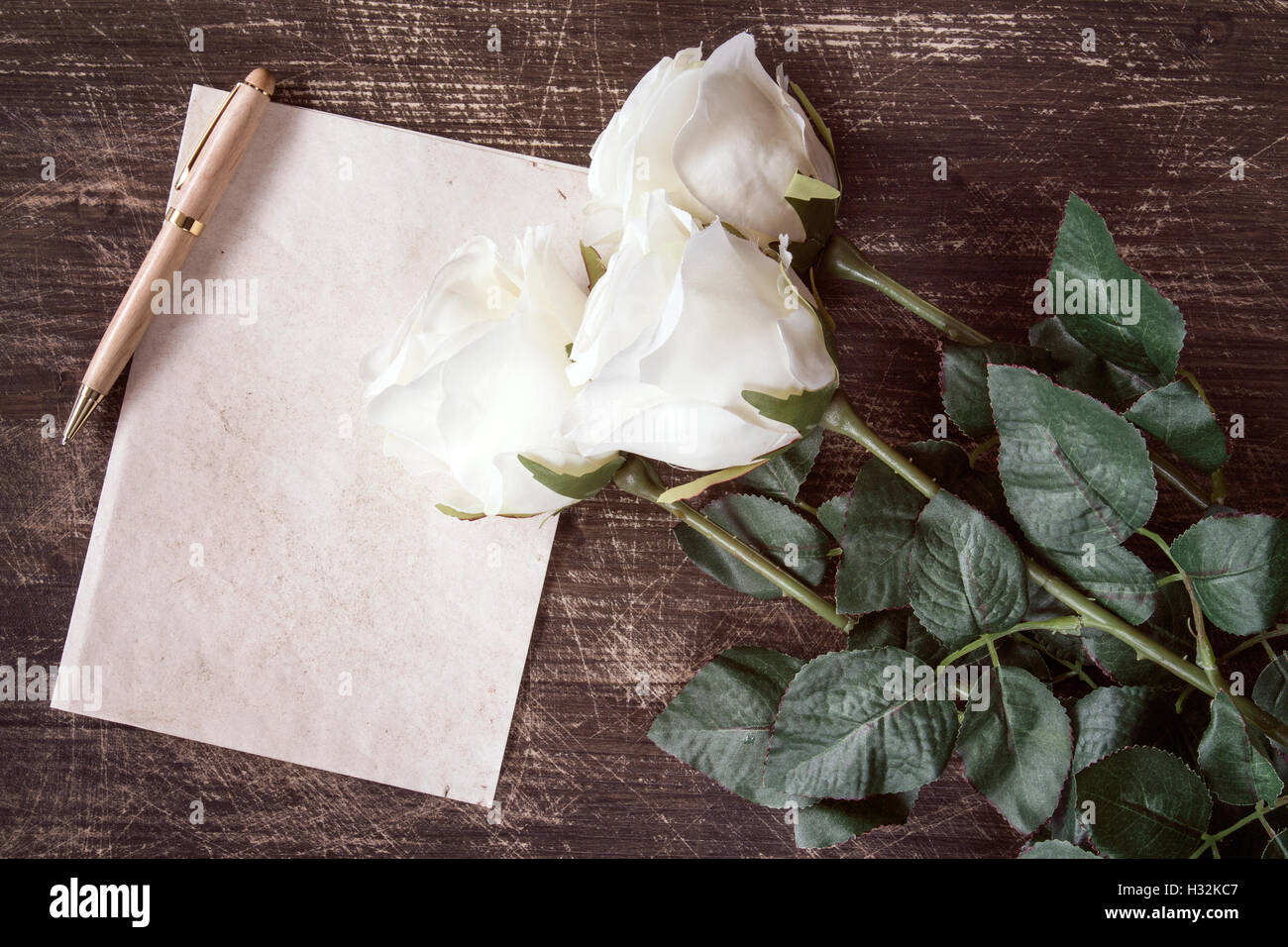 Rose flower lying on blank -Fotos und -Bildmaterial in hoher Auflösung –  Alamy
