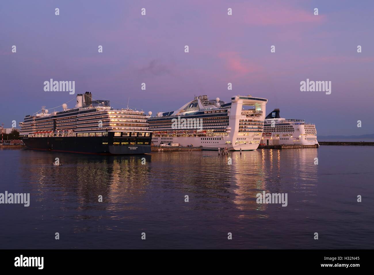 Baum-Kreuzfahrtschiffe Stockfoto Baum-Kreuzfahrtschiffe Stockfoto