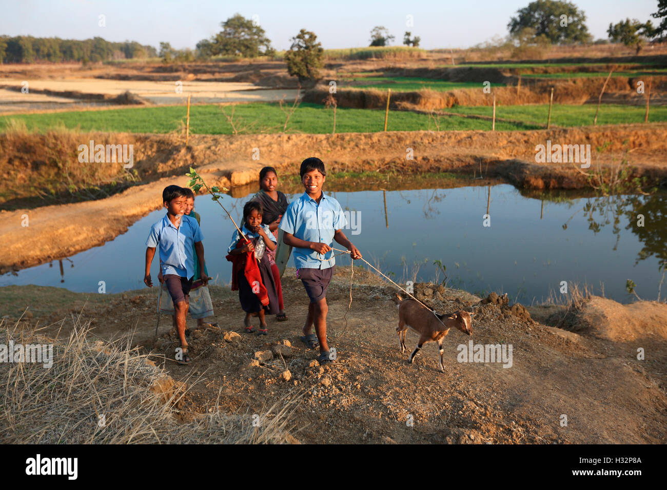 Stammes-Kinder in Lesure, ORAON Stamm, Purkela Dorf, Tahasil, Lundra, Dist, Sarguja, Chattisgarh, Indien Stockfoto