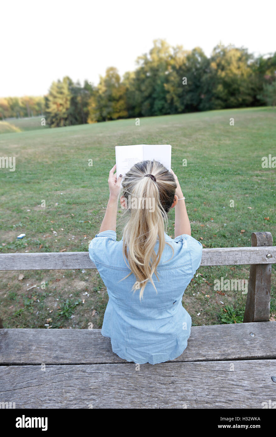 Junge, Mädchen Reeding ein Buch im park Stockfoto